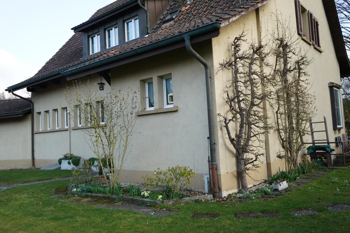 Ein Haus mit Reben davor.